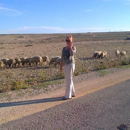 Luciana * Повляна