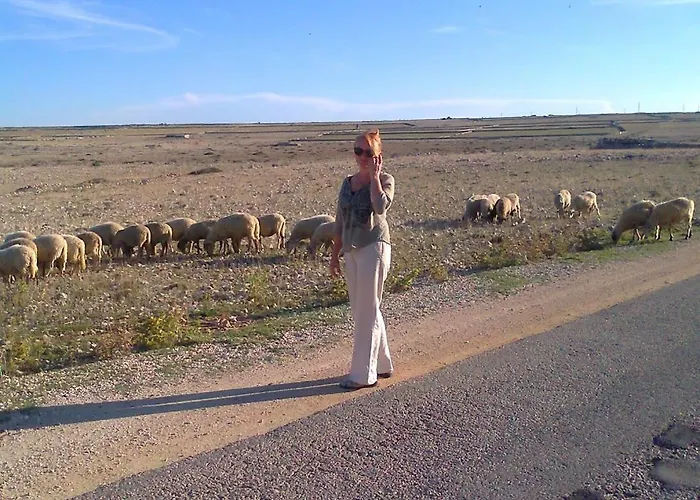 Luciana * Повляна