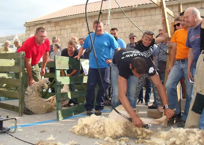 Luciana * Повляна