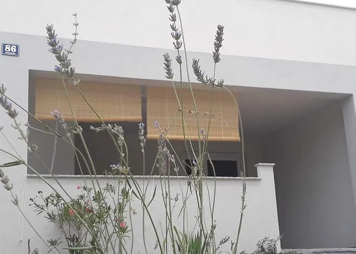 Luciana * Повляна